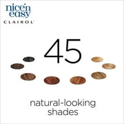 Clairol Nice N Easy Permanent