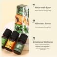 thumbnail image 4 of Water-soluble Diffuser Essential Oils 5ml, 4 of 6