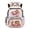 Capybara Ice Cream, variant on Capybara Backpack for School Girls Cute School Bag Ice Cream Kids Bookbag Large Capacity Back Pack with Multi Pockets