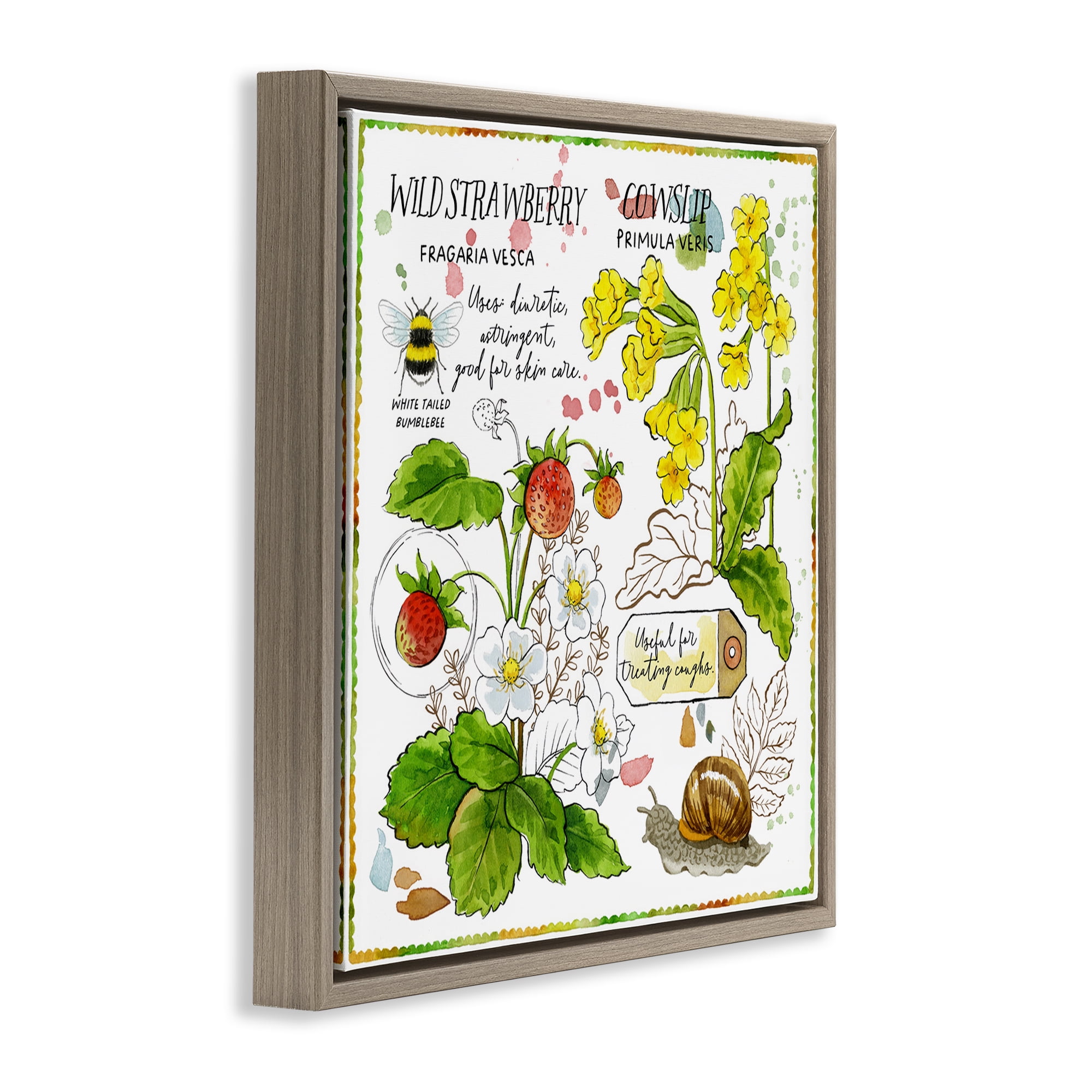 Stupell Industries Strawberry & Florals Uses Plants & Flowers Painting Brown Floater Framed Canvas Art Print Wall Art, 18 x 18