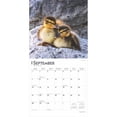 thumbnail image 4 of Baby Animals 2025 12 X 24 Inch Monthly Square Wall Calendar, 4 of 9