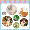 thumbnail image 3 of Rabbit Grooming Kit, 6 Counts/set Pet Hair Brush & Nail Clipper & Nail File & Comb, Professional Pet Grooming Tool for Small Animals, 3 of 8