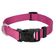 Country Brook Petz American Made Deluxe Rose Nylon Dog Collar, Extra Small
