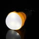 thumbnail image 1 of Luz de camping portátil Mini 3 LED Linterna colgante para tienda de campaña ANGGREK  Otros, 1 of 8