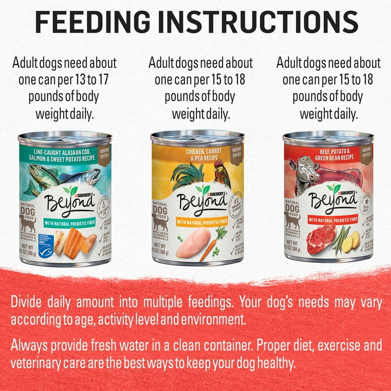 Beyond dog food walmart sale