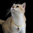 thumbnail image 4 of Collar con letra de burbuja chapado en oro de 14 k Yashi, 4 of 5