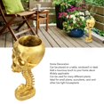 thumbnail image 4 of Skull Planter Resin Skull Shaped Flower Pot, Skull Mini Planter Vases Handmade Resin Skeleton Statue Skull Flower Pot for Home Decorations Birthday Gifts, 4 of 8