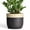 Black, variant on Ordivic 6 inch Black Ceramic Planter with Drainage Hole & Plug, Round Flower Pot for Succulents & Cactus, Indoor Outdoor for Home Office Desk, Housewarming Gift
