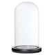 thumbnail image 5 of 2x Tarro de Cristal de Campana para Decoración de Plantas de Jardín de Paisaje perfecl  Cúpula transparente con base de madera, 5 of 8