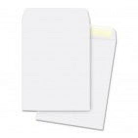 Business Source Plain Cataloge Envelope - 250 per box