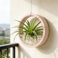 thumbnail image 5 of BotaniNest Succulent With Holes For Performance Under Various Conditions, 5 of 5