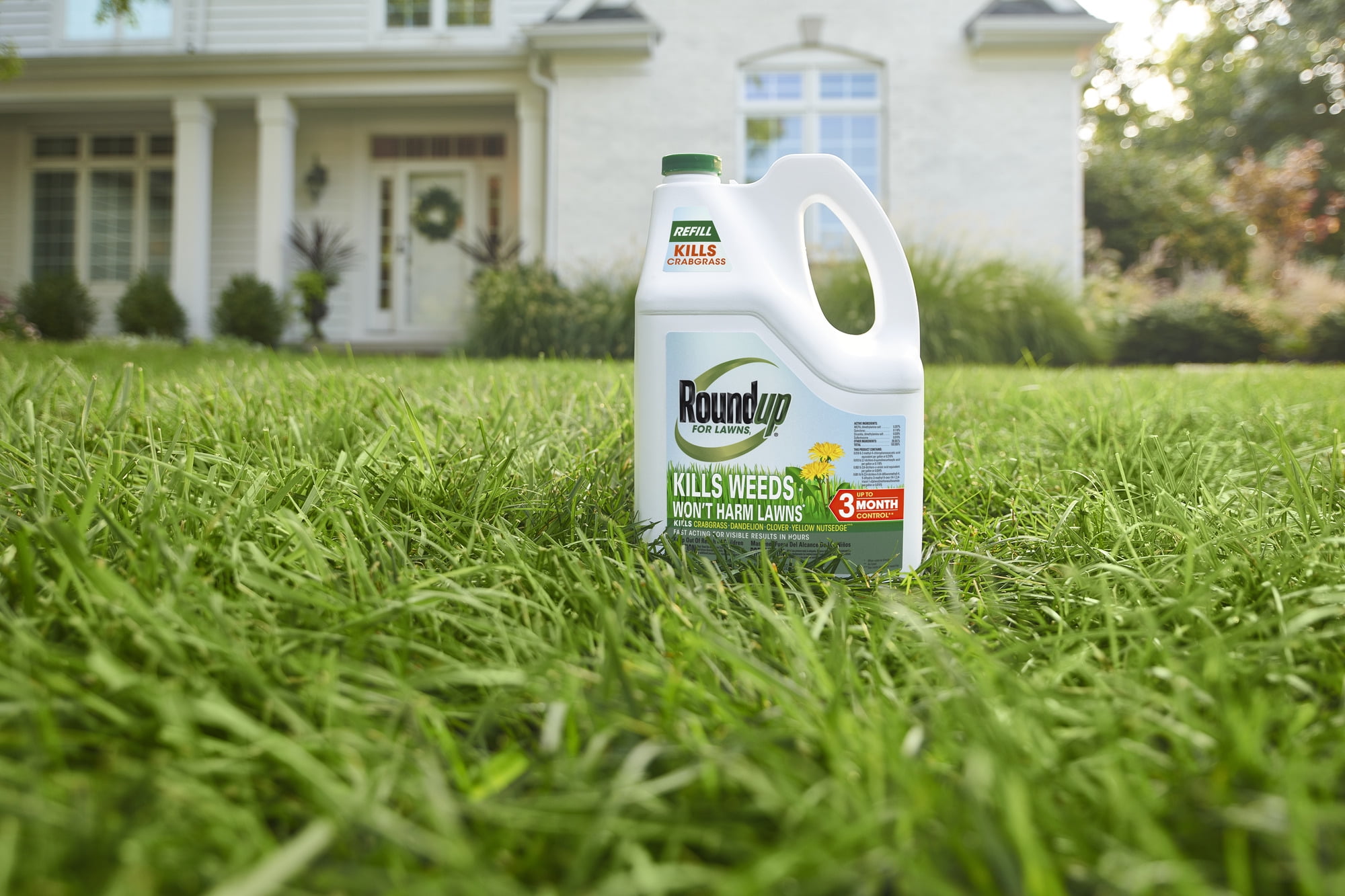 Roundup For Lawns1 Refill (Northern), 1.25 gal.