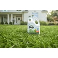 thumbnail image 6 of Roundup For Lawns1 Refill (Northern), 1.25 gal., 6 of 12