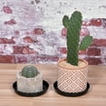 thumbnail image 5 of Uxcell Plastic Wave Round Plant Pot Saucer Flower Drip Tray 4pcs Black 5.3", 5 of 5