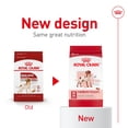thumbnail image 2 of Royal Canin Size Health Nutrition Medium Breed Adult Dry Dog Food, 2 of 5