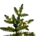 thumbnail image 2 of Vickerman 12' x 84" Natural Fraser Fir Artificial Christmas Tree, Warm White Dura-lit LED Lights, 2 of 2