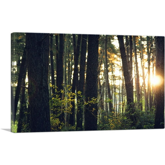 ARTCANVAS Sun Shining Through the Trees Forest Canvas Art Print - Size: 26" x 18" (0.75" Deep)
