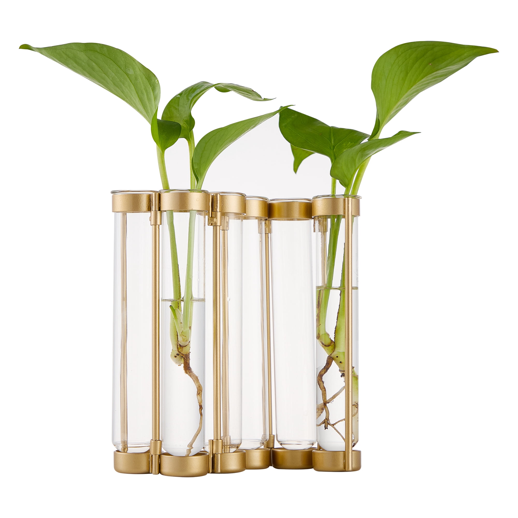 Better Homes & Gardens Gold Metal Propagation Station 6 Tubes