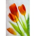 thumbnail image 2 of Jaynes Gallery 13x18 Gold Ornate Wood Framed with Double Matting Museum Art Print Titled - Tulip in ice, 2 of 4
