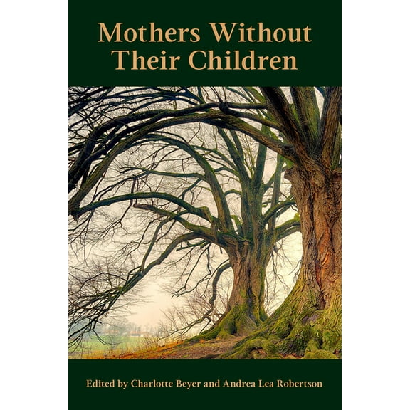 Mother without their children (Paperback)