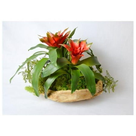 T Floral Company 16 x 13 in. Bromeliad In Wood Bowl - Orange & Red