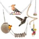 thumbnail image 4 of Juguetes para Cockatiel de Bargains Únicos, 6 Pcs, Escondite Natural de Coco con Escalera, Juguete Colgante con Campana, Accesorios para Jaula de Aves, 4 of 7