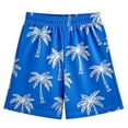 thumbnail image 4 of JAJAHO Boys Summer Beach Shorts Breathable Mesh Loose Fit Straight Leg Casual Elastic Waist Running Shorts For Kids 2-14Y Holiday Beachwear, 4 of 4