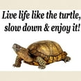 thumbnail image 3 of CafePress - LOVE A TURTLE Light T Shirt - Men's Classic Graphic T-Shirt, 3 of 4