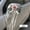 F, variant on 2-Piece Retro Wedding Car Floral Decoration Set - Elegant Artificial Rose Bouquets for Rearview Mirrors and Door Handles