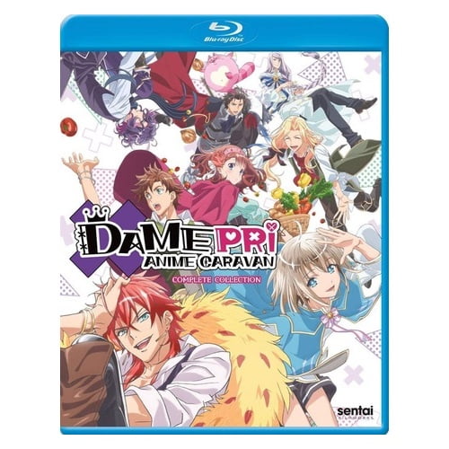 SECTION23 FILMS DAMEPRI ANIME CARAVAN-COMPLETE COLLECTION (BLU-RAY/2 Disque) BR6026428