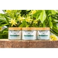thumbnail image 4 of Humphreys Clarifying Witch Hazel Cleansing Pads, Fragrance Free, 60 Ct, 4 of 6