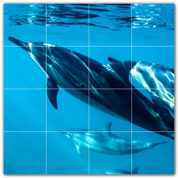 Picture-Tiles.com: Dolphin Ceramic Tile Wall Mural WAL500533-44L. 32"W x 32"H using (16) 8" x 8" Ceramic Tiles-Satin Finish