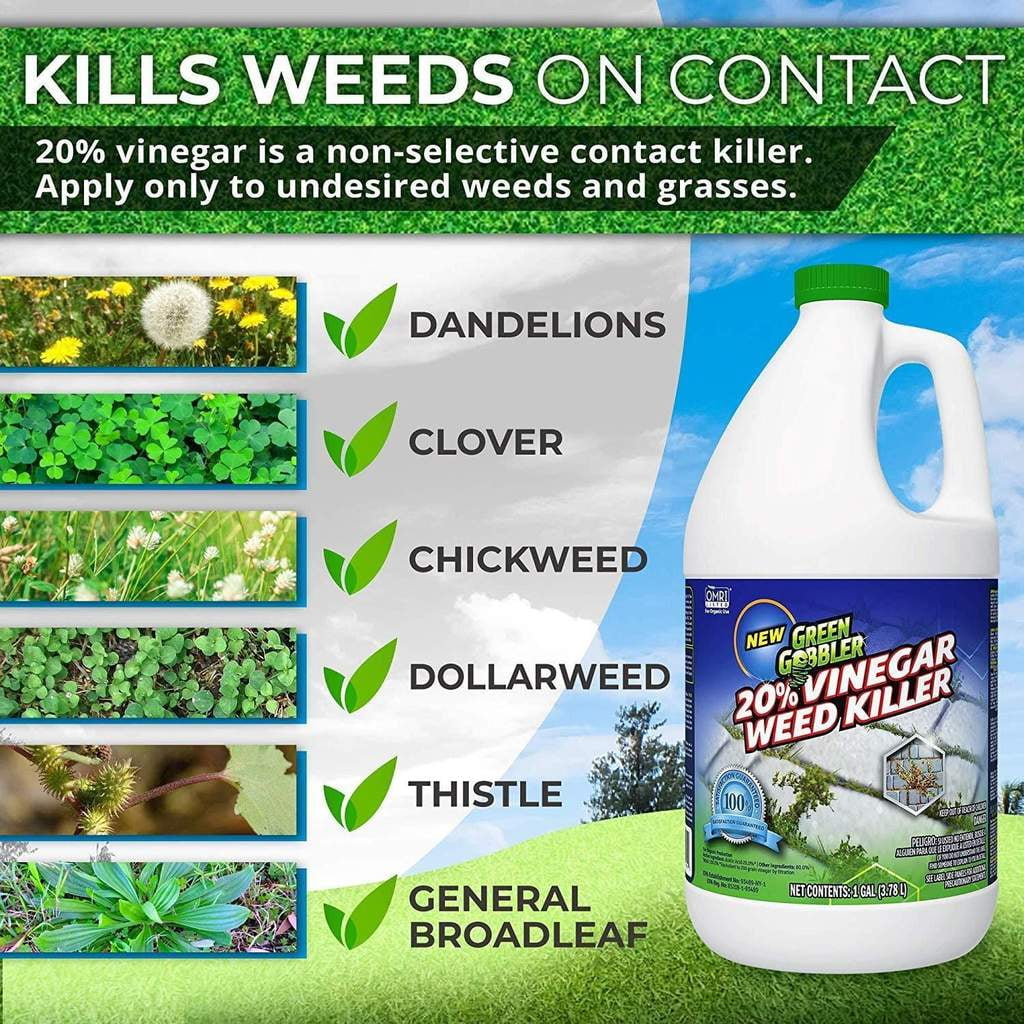 Green Gobbler 20% Vinegar Weed & Grass Elminator - Natural and Organic, Glyphosate Free Herbicide, 1 Gallon