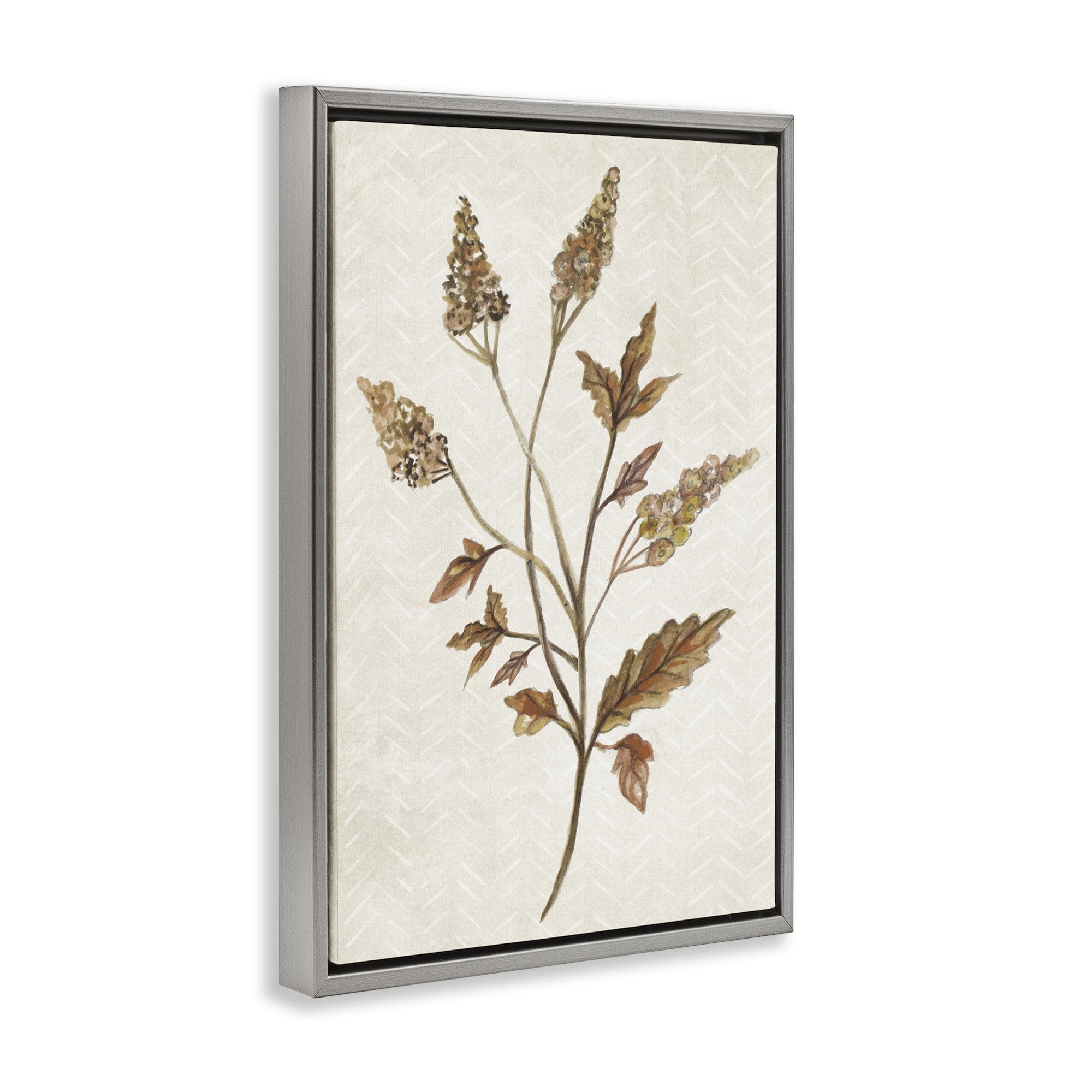 Stupell Industries Neutral Garden Botanics Botanical & Floral Painting Gray Floater Framed Canvas Art Print Wall Art, 17 x 25