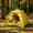 A10 Green XL, variant on Portable and foldable outdoor shade cat tent dog tent, L Size Green Outdoor Pet Shelter Tent, Foldable Pet Bed for Camping Picnic Park Use