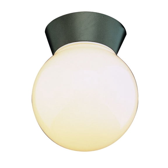 Trans Globe Lighting 4850 1 Light Down Lighting Outdoor Flush Mount Ceiling Fixture From