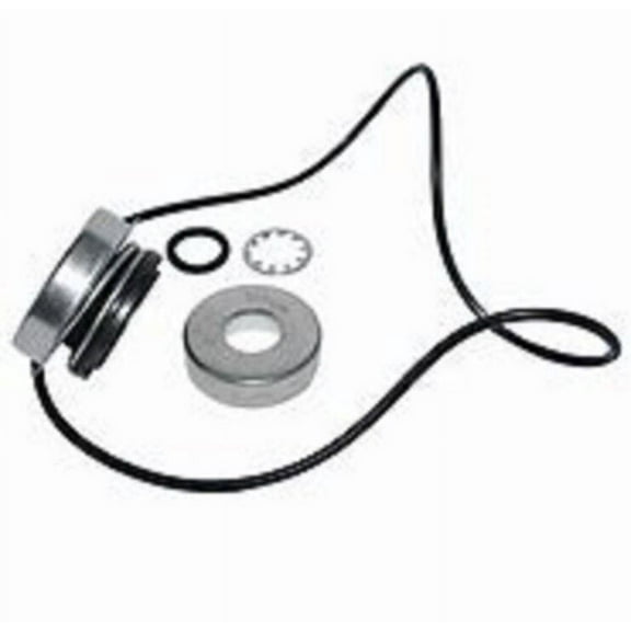 Ace Pumps Repair Kit for FMC-150 Series Pumps - RK-FMC-150 (52710)
