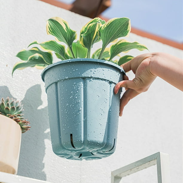 Lehorra 1 Pot à Orchidée Avec Trous, Pot à Orchidée En Plastique à Arrosage Automatique De