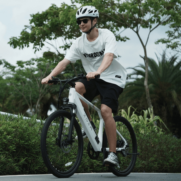 ZDZA Electric Bike 26”, 1000W Peak Motor E-Mountain Bike