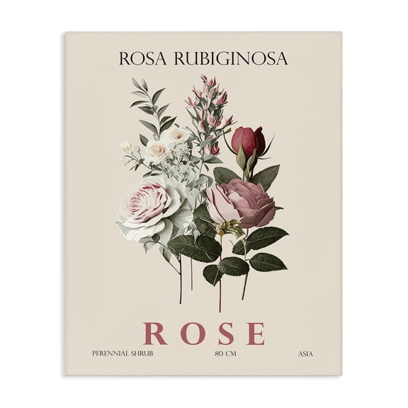 Stupell Industries Traditional Natural Rose Bundle Canvas Art, 16 x 20, by Christopher Giampietro