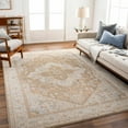 thumbnail image 2 of BoutiqueRugs Roni Traditional Area Rug - Dark Brown, Taupe, Medium Gray - 10' x 13'11", 2 of 12
