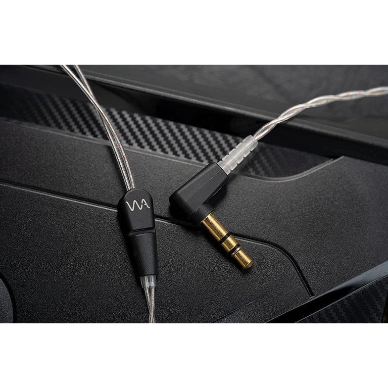 Westone Audio Pro X10 IEM Earphones - Single Driver Noise Isolating  Professional Musician In-Ear Monitor Wired Earbuds