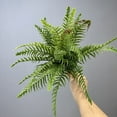 thumbnail image 6 of Dadiaei Artificial Eucalyptus Leaves Stems with Boston Fern, UV Resistant Fake Greenery Branches for Vase, Wedding, Floral Arrangements, Indoor Outdoor Home Decor, Faux Shrub Bushes, 24 Inches, 6 of 8