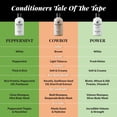 thumbnail image 4 of Clean Tea Tree Shampoo, 4 of 7