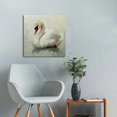 thumbnail image 5 of FANNA Wall Art White Swan Bird Animal Portrait Nature Wilderness Vintage Illustrations Fine Art Decorative Retro Historic Zen for Living Room, Bedroom, Office 20x20in, 5 of 5