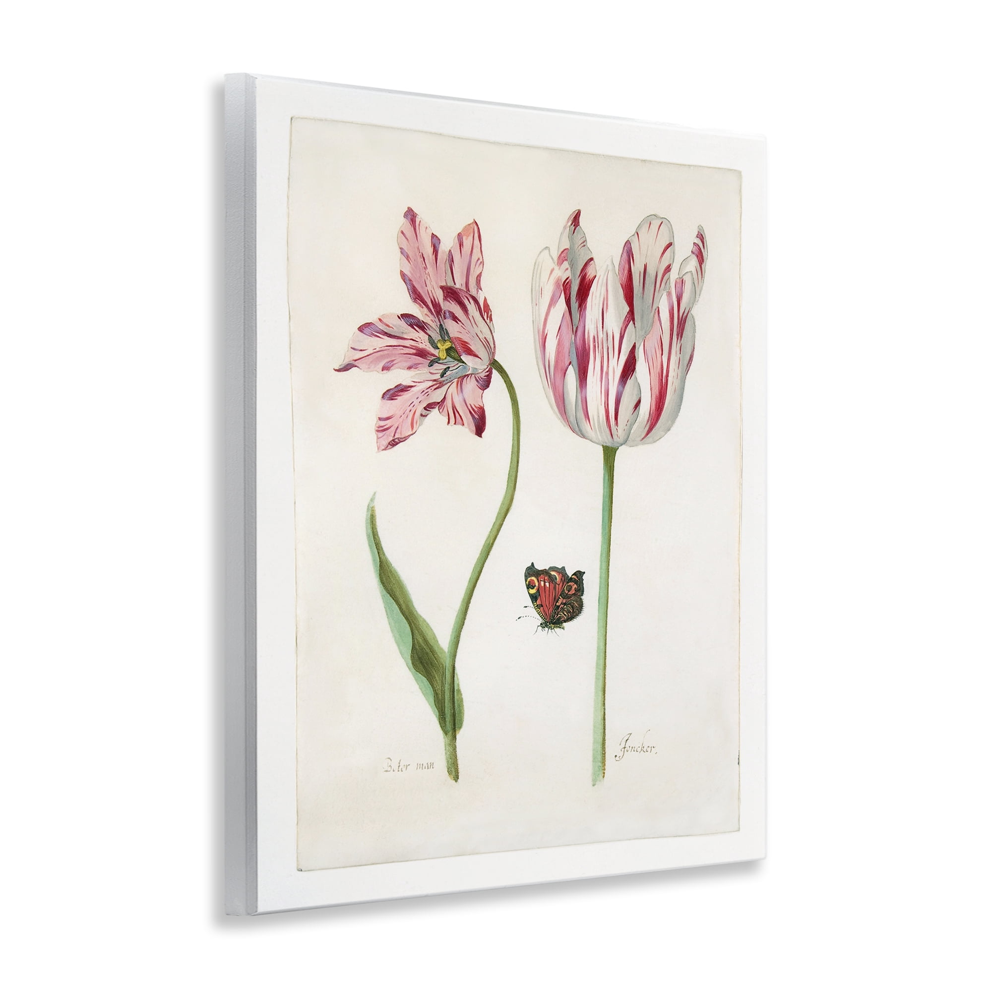 Stupell Industries Classic Tulip & Butterfly Plants & Flowers Painting Unframed Art Print Wall Art, 11 x 14