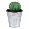 thumbnail image 4 of Northlight 3.5" Tropical Cactus in Tin Pot Artificial Potted Plant - Green/Silver, 4 of 6