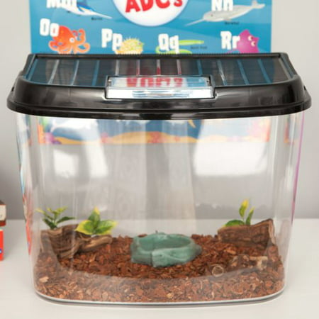 Aqua Culture Betta View 1/2-Gallon Fish Tank with Full Hood – BrickSeek