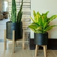 thumbnail image 2 of Flora Bunda CT826E2-MTBK Matte Black Dumpling Ceramic Planter on Stand - Set of 2, 2 of 5