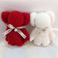 thumbnail image 2 of Toalla con forma de oso con regalo de mano de terciopelo coral con diseño de piña enrejado, toalla absorbente suave, regalo de devolución para bodas, 2 of 6